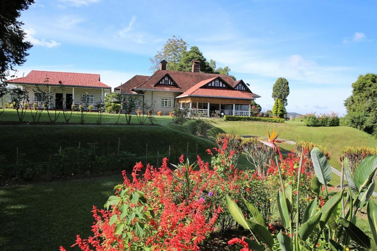 Bukit Lowick Bungalow Tanah Rata Exterior foto